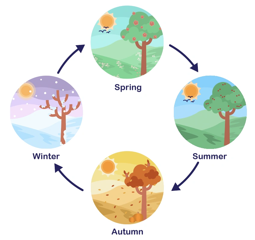 Animal Life Cycles 3 4 Stages Explained Simply